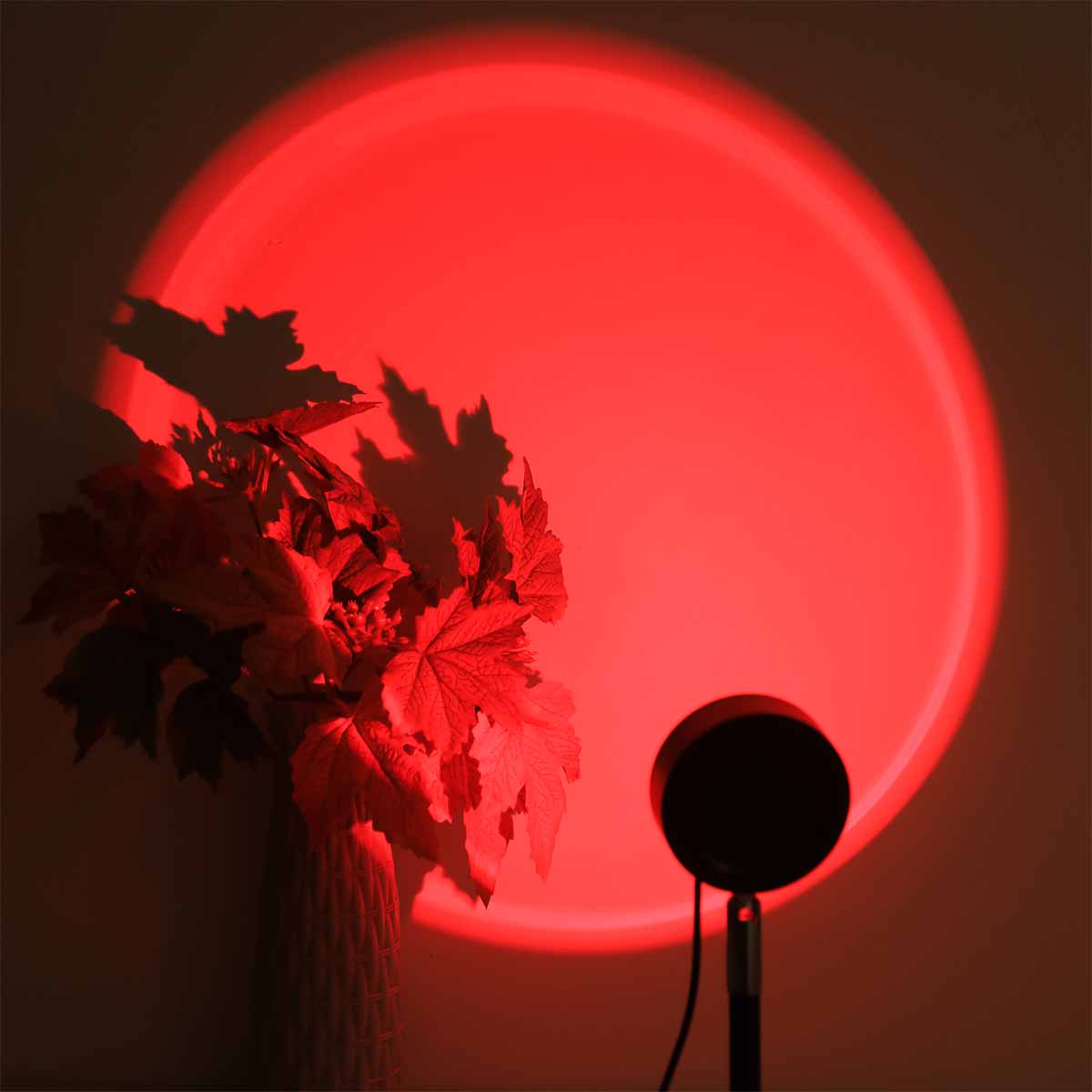 Sonnenuntergang-Projektionslic – Photography Lighting Setup Bewertung und Preis