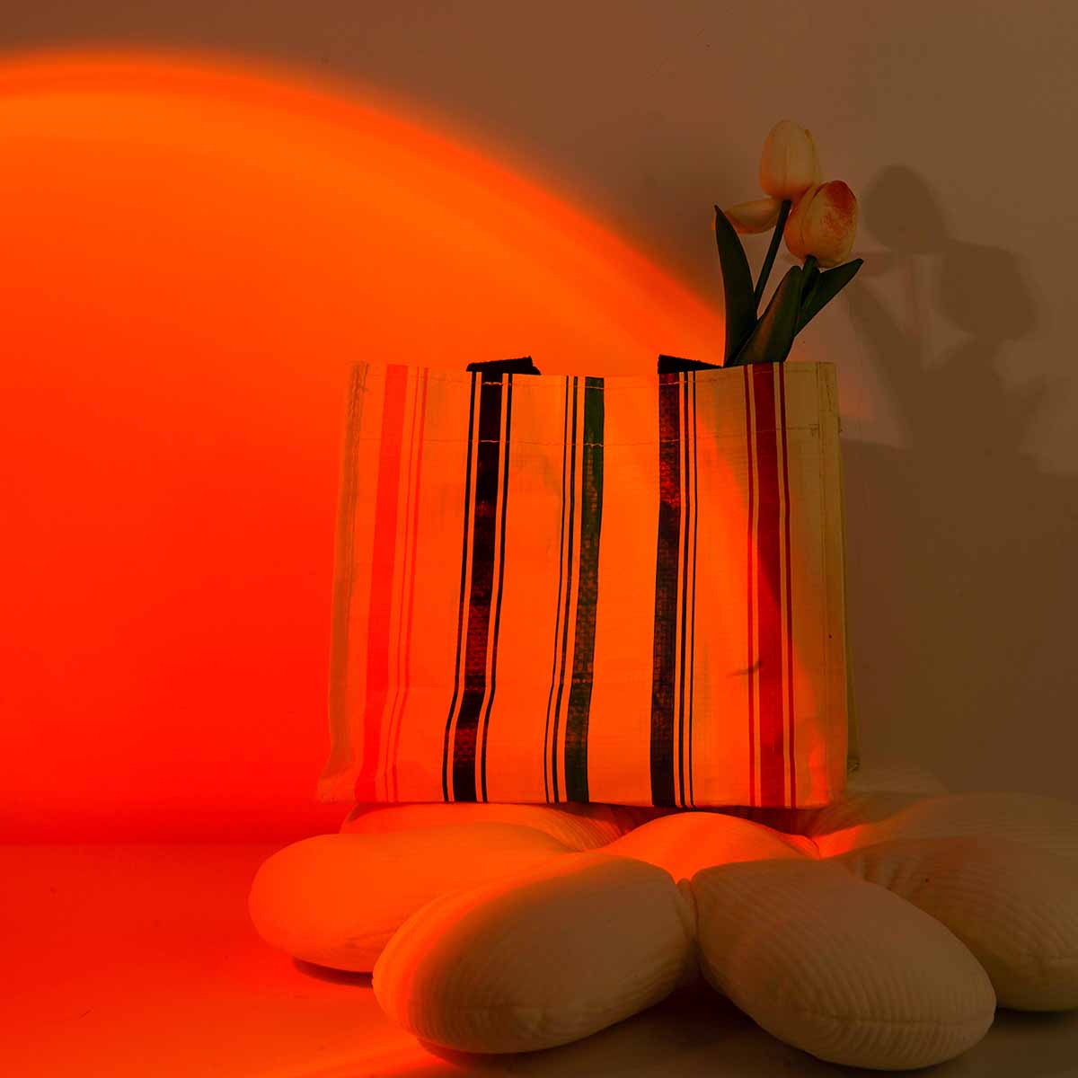 Sonnenuntergang-Projektionslic – Photography Lighting Setup Bewertung und Preis