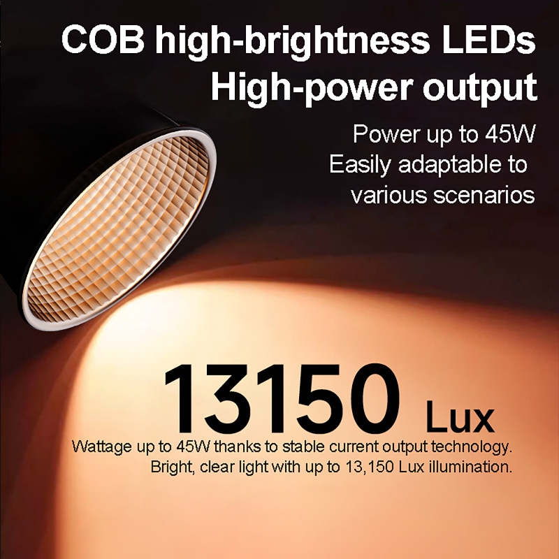 60W RGB Videoleuchte Tragbares – Photography Natural Lighting Bewertung und Preis