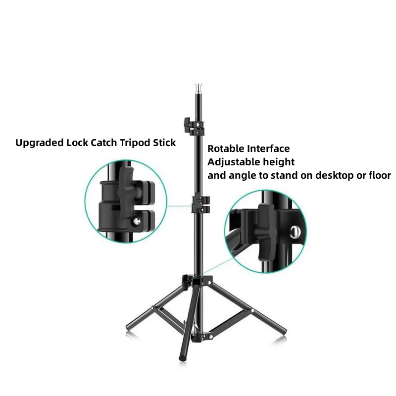 RP01-B Hochleistungs-Lichtstat – Photography Lighting Setup Bewertung und Preis